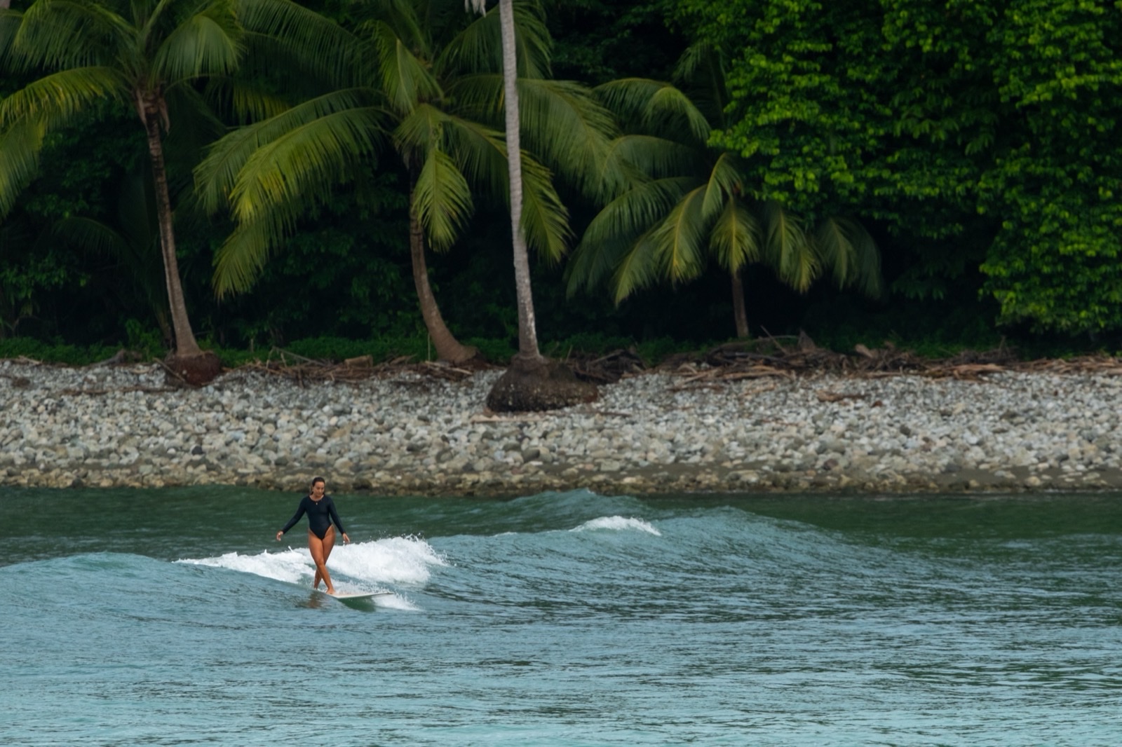 Surf Classes